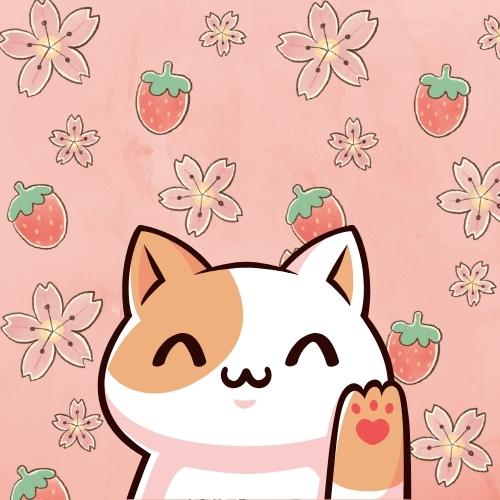 Accessories kawaii